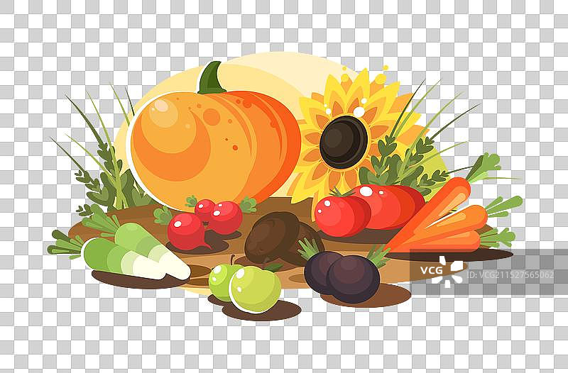 丰收的蔬菜图片素材