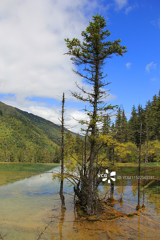 神仙池图片素材