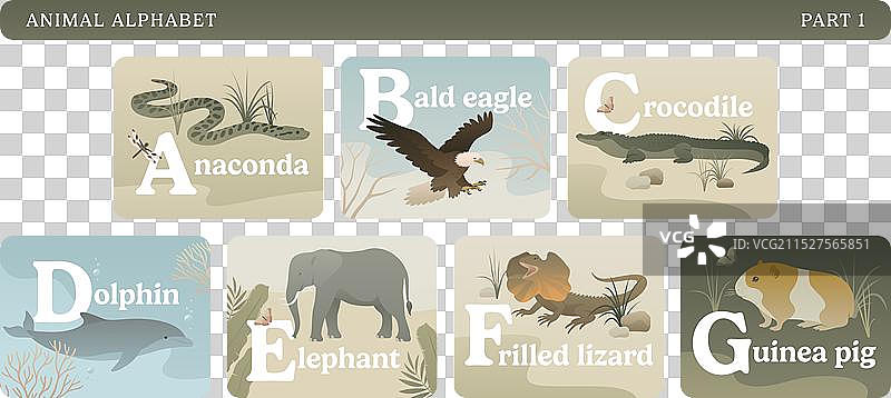 动物字母彩色卡片套装（第一部分）图片素材