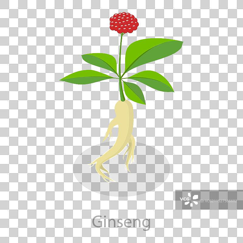 2.5D等距扁平风格草药合集图片素材