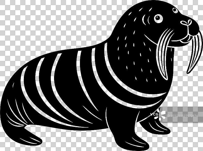 白色背景上的海象图片素材