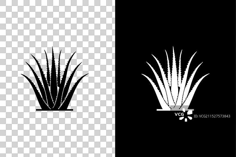 带叶芦荟植物扁平图标图片素材