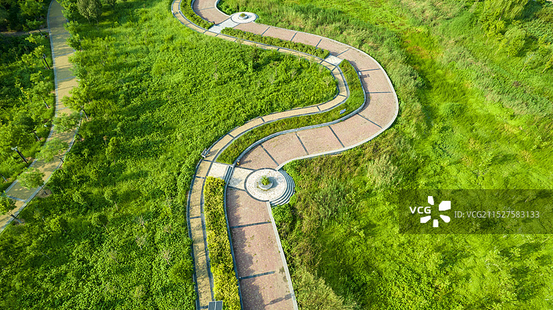 俯瞰公园绿地图片素材