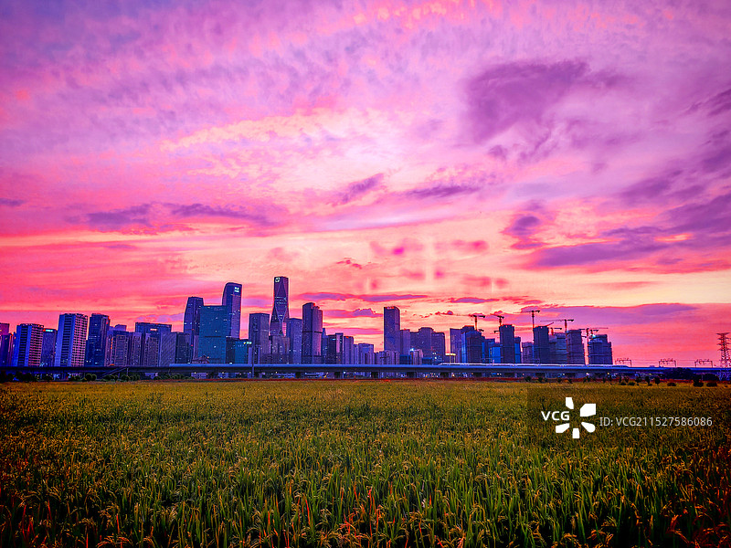 杭州高铁稻田cbd晚霞图片素材