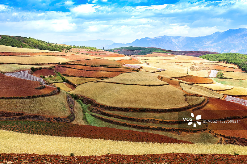 东川红土地的美景图片素材