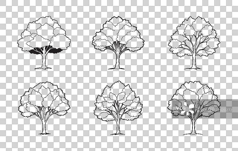 桤木树线条艺术图案图片素材