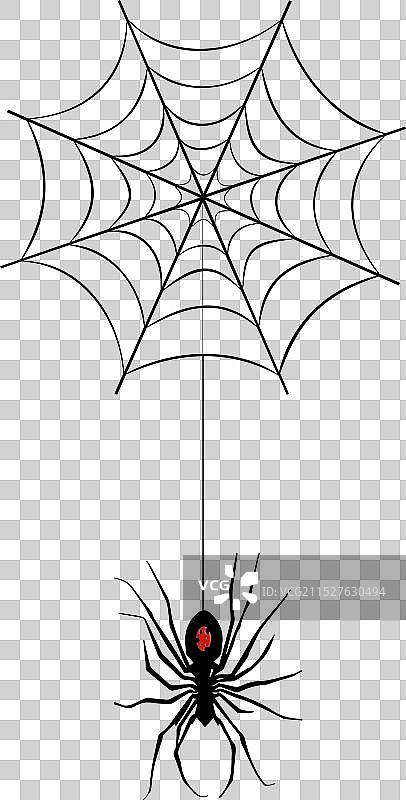 黑寡妇和蜘蛛网恐怖蜘蛛艺术图片素材