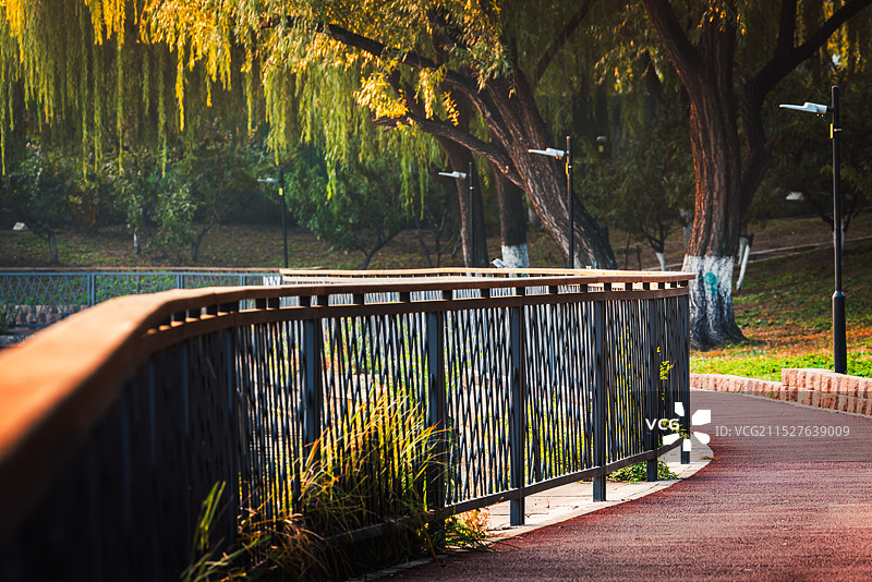 秋天湖边图片素材