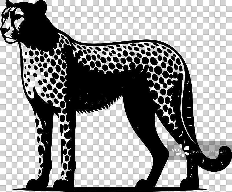 白色背景上的猎豹剪影图片素材