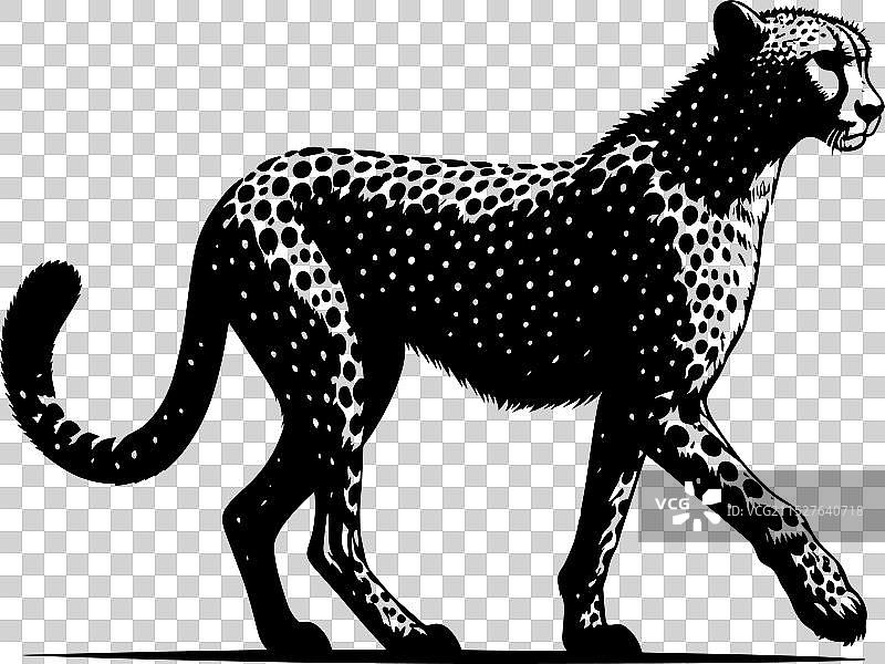 白色背景上的猎豹剪影图片素材