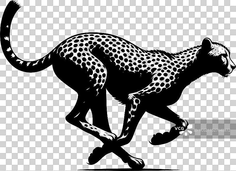 白色背景上的猎豹剪影图片素材