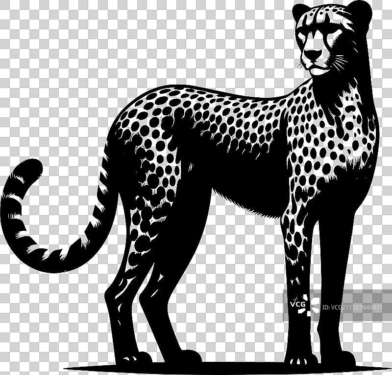 白色背景上的猎豹剪影图片素材
