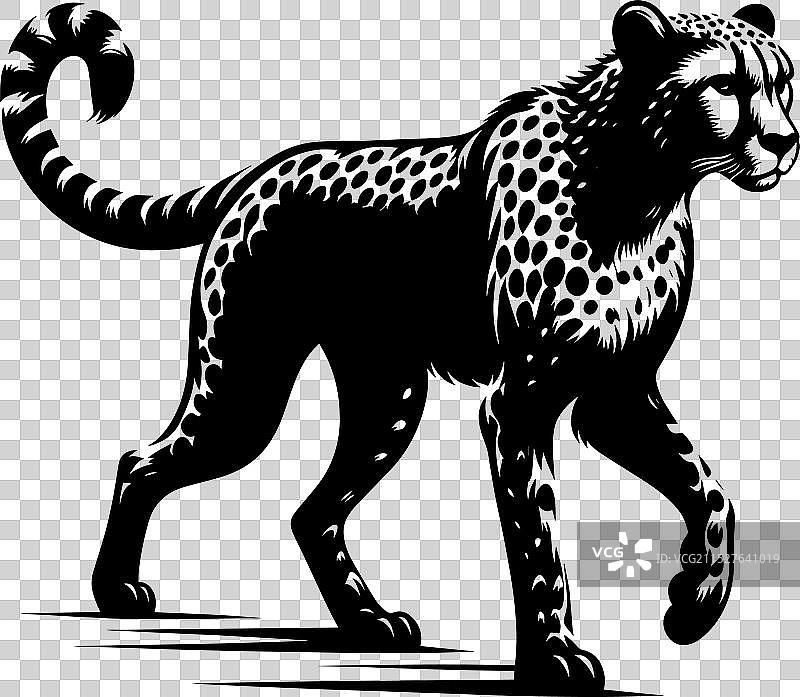 白色背景上的猎豹剪影图片素材