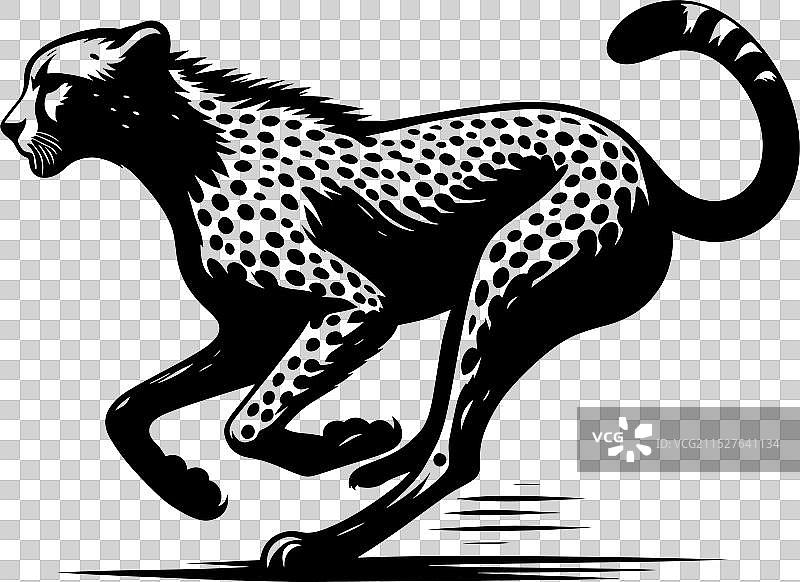 白色背景上的猎豹剪影图片素材