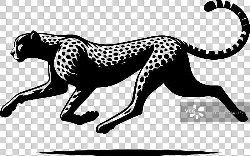 白色背景上的猎豹剪影图片素材