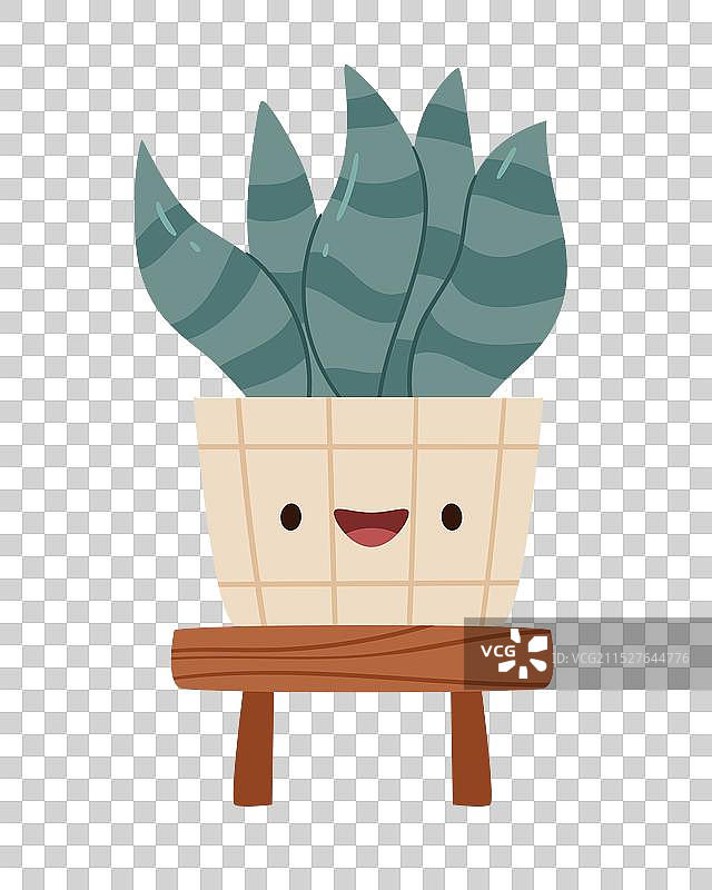 盆栽中微笑的多肉植物图片素材