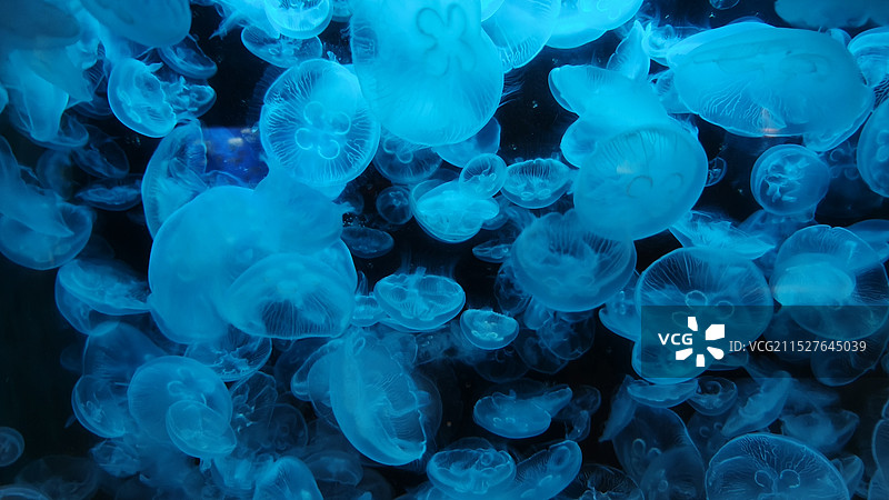 鹿儿岛水族馆图片素材