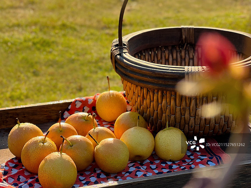 南果梨 南国梨 东北特产 辽宁鞍山香水梨 梨子 酒香梨 新鲜南果梨图片素材