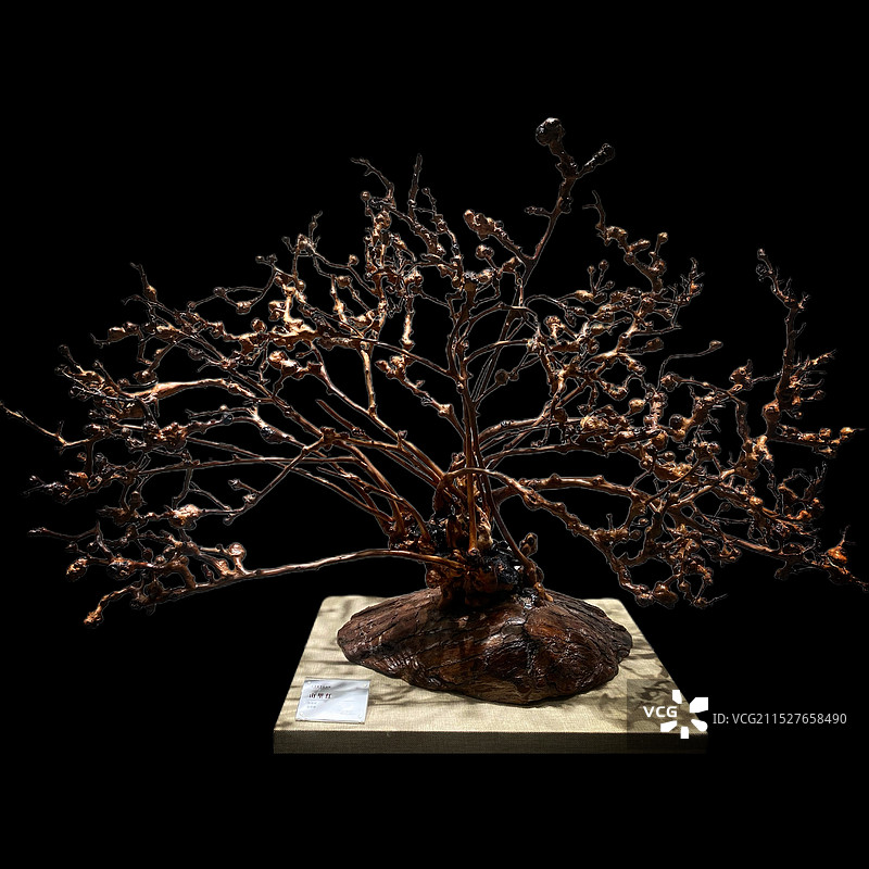 根艺《山里红》图片素材