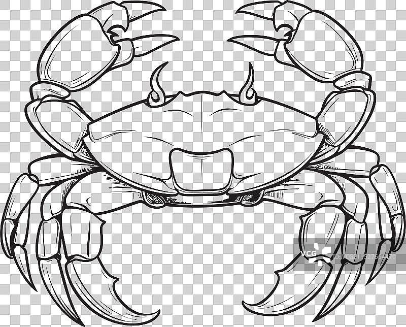 海边哨兵大胆轮廓螃蟹标志航海风格图片素材