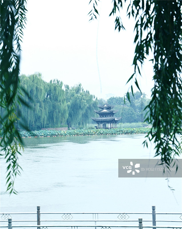 雨中陶然亭公园图片素材