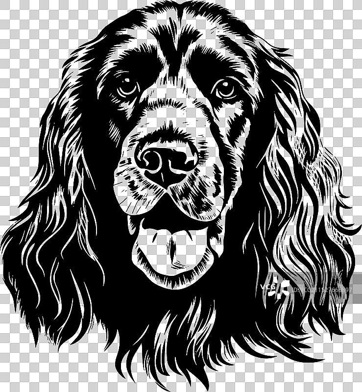 黑白色的可卡犬图片素材