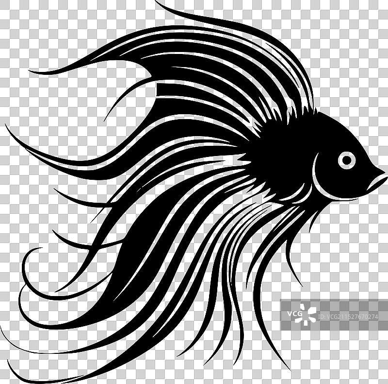 黑白鱼图片素材