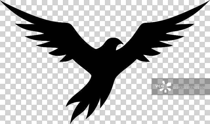 海燕 - 极简和简单的轮廓图片素材