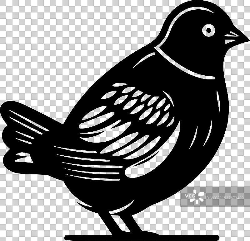 鸽子 - 高质量标志 - 适合T恤使用图片素材