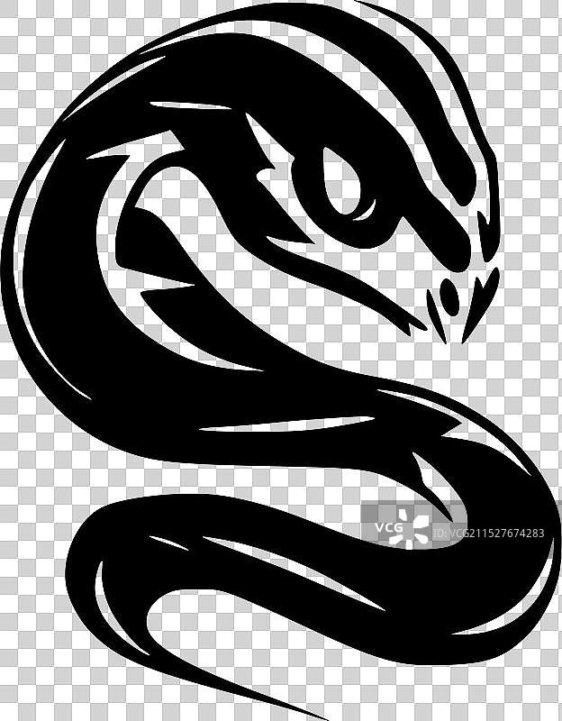 黑白蛇图片素材