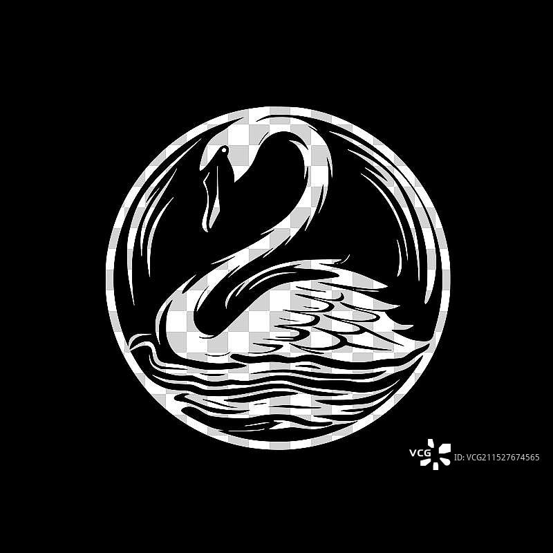 天鹅 - 高质量标志 - 适合T恤设计图片素材