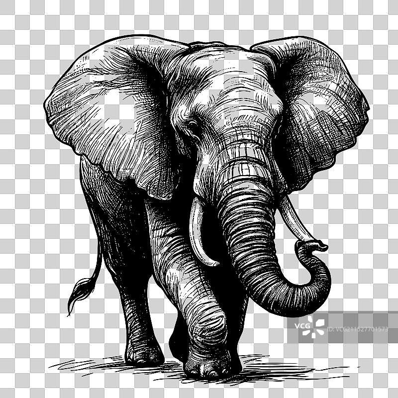 一幅黑白画的象与它的图片素材