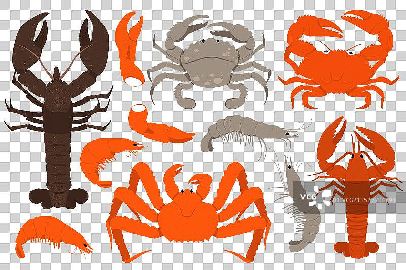 螃蟹和龙虾的海鲜卡通涂鸦图片素材