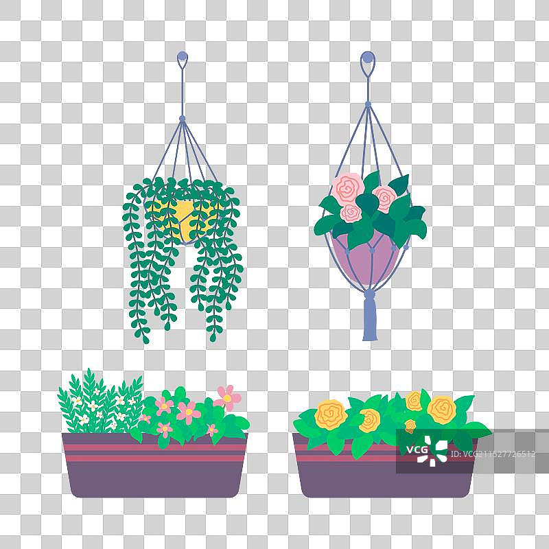 卡通色彩的花卉植物悬挂花盆图片素材