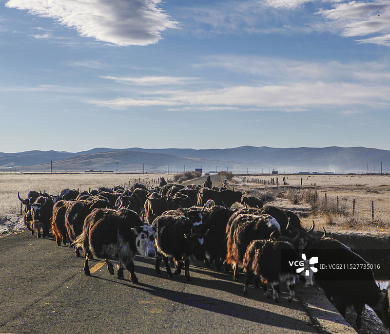冬季转场图片素材