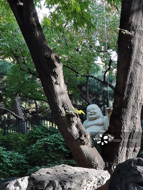 大观园里阿弥陀佛的低角度视图图片素材