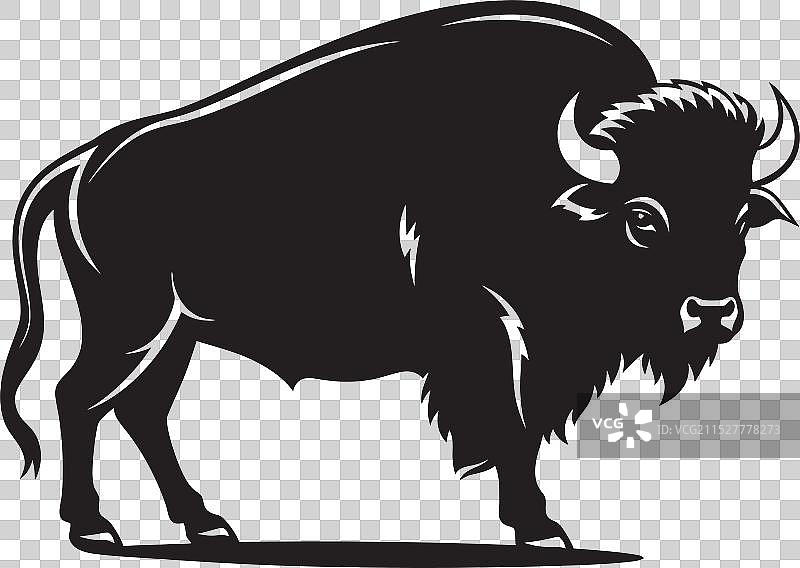 黑色野牛用力咬住一个标志，展现出大平原的气息图片素材