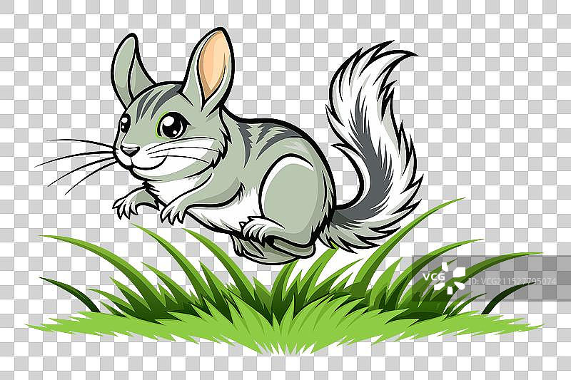 草丛中跳跃的毛丝鼠剪影图片素材