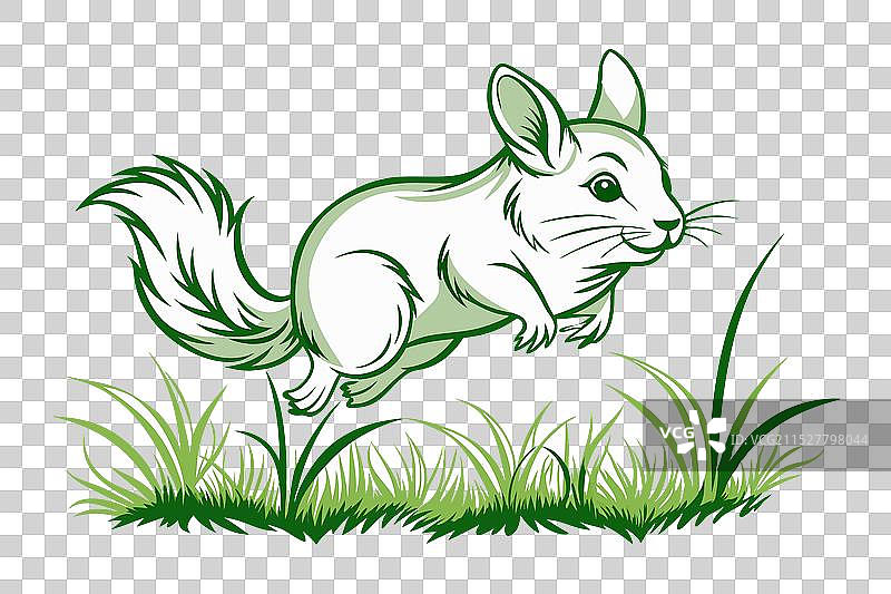 草丛中跳跃的毛丝鼠剪影图片素材