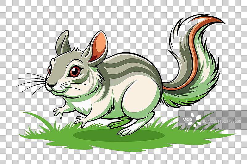 草丛中跳跃的毛丝鼠剪影图片素材