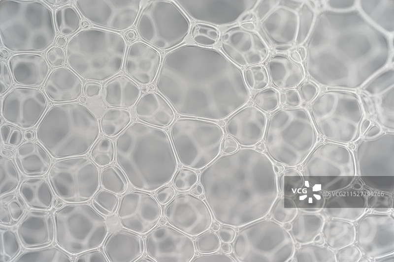 微观视角下的肥皂泡泡图片素材