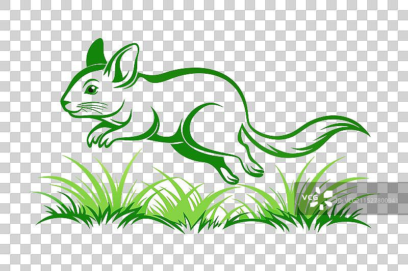 草丛中跳跃的毛丝鼠剪影图片素材