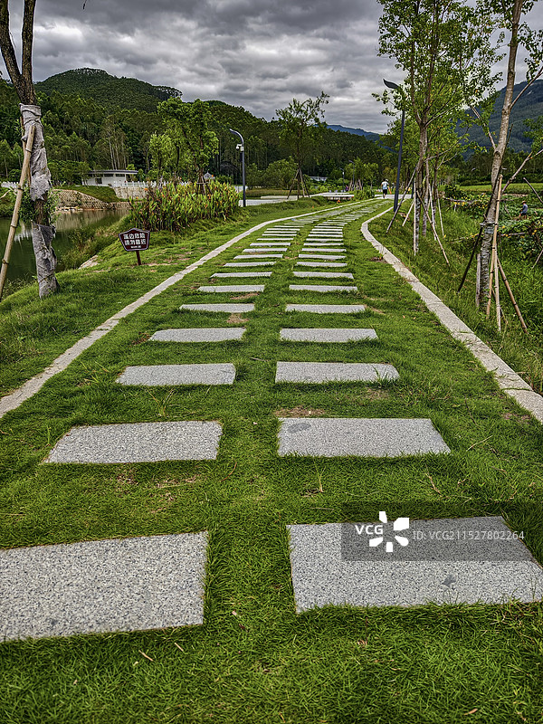 空旷的道路在田野上的树林中迎着天空图片素材