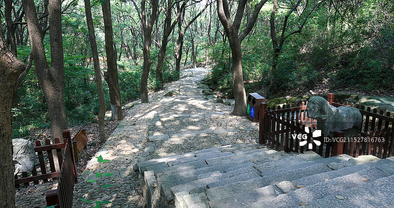 石阶 古道 山林图片素材