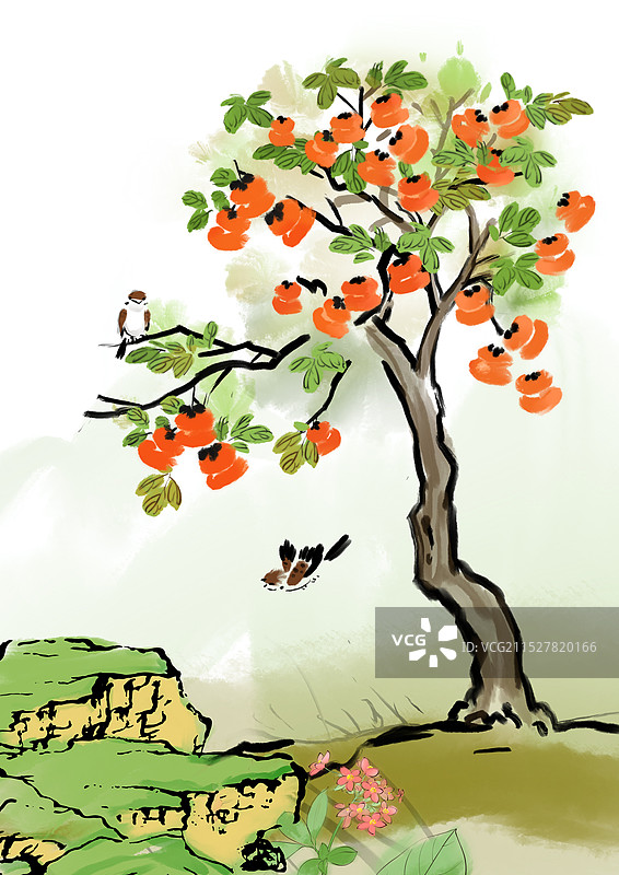 水墨国风柿子树硕果累累麻雀飞翔图片素材