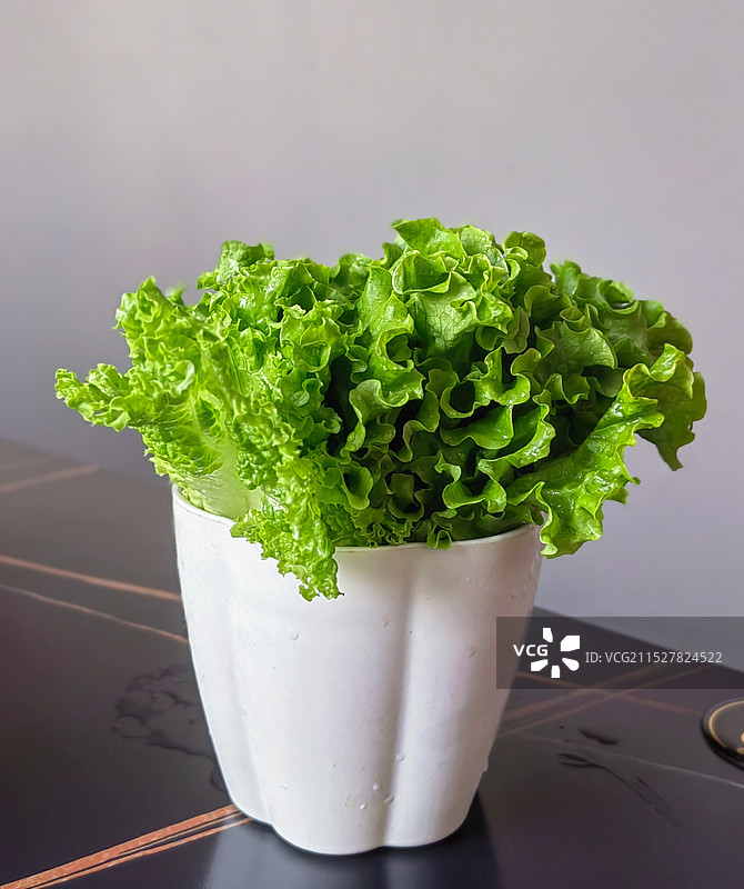 一小盆新鲜的绿色生菜叶图片素材