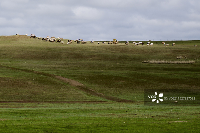 天低云矮草原绿（巴音布鲁克草原是中国第二大草原，位于新疆维吾尔自治区巴音郭楞蒙古自治州和静县西北。）图片素材