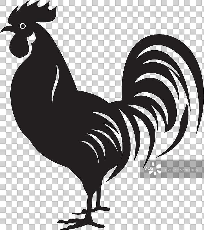 爪子团队名单 鸡标志 在图标鸡舍中图片素材