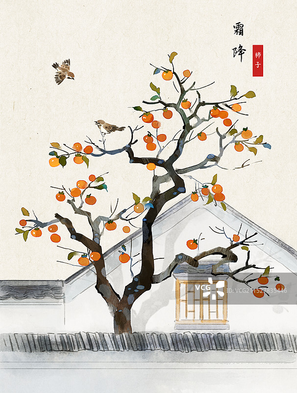 徽式建筑柿子树和麻雀水墨画图片素材