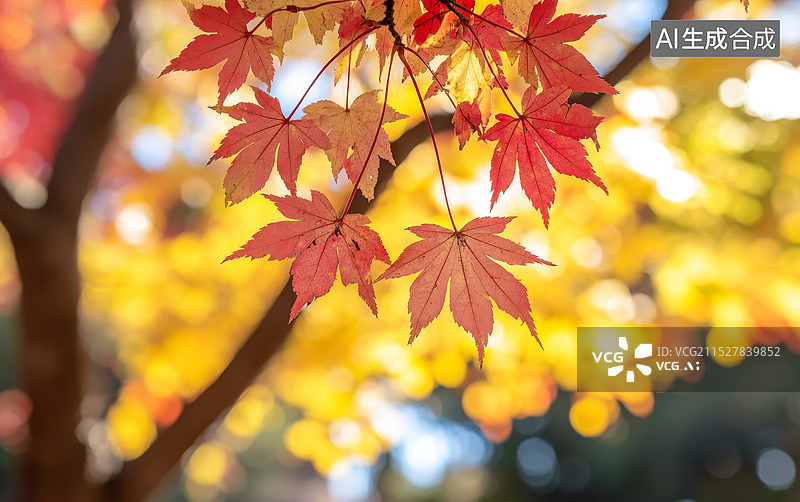 【AI数字艺术】秋天的枫叶图片素材
